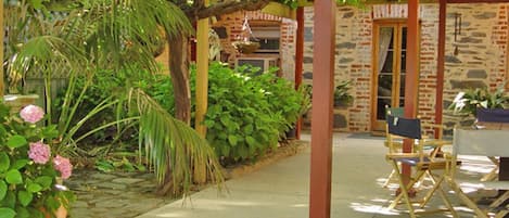 our beautiful courtyard with 100 year old vines