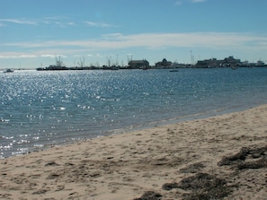 The harbor beach across the street...