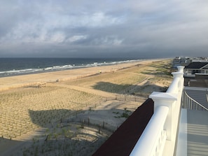 View from the roof deck