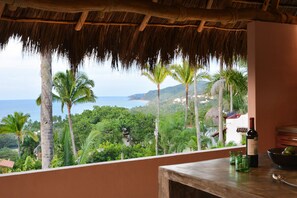 View from the Kitchen and Living room