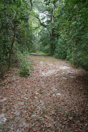 A section of our 2 miles of walking trails.