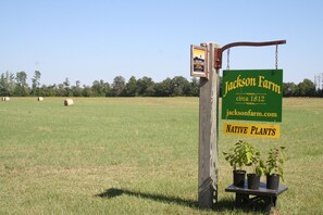 Entrance to our 200 year old farm