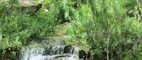 Flowing spring from hillside into our "Spring Pool" sitting area 