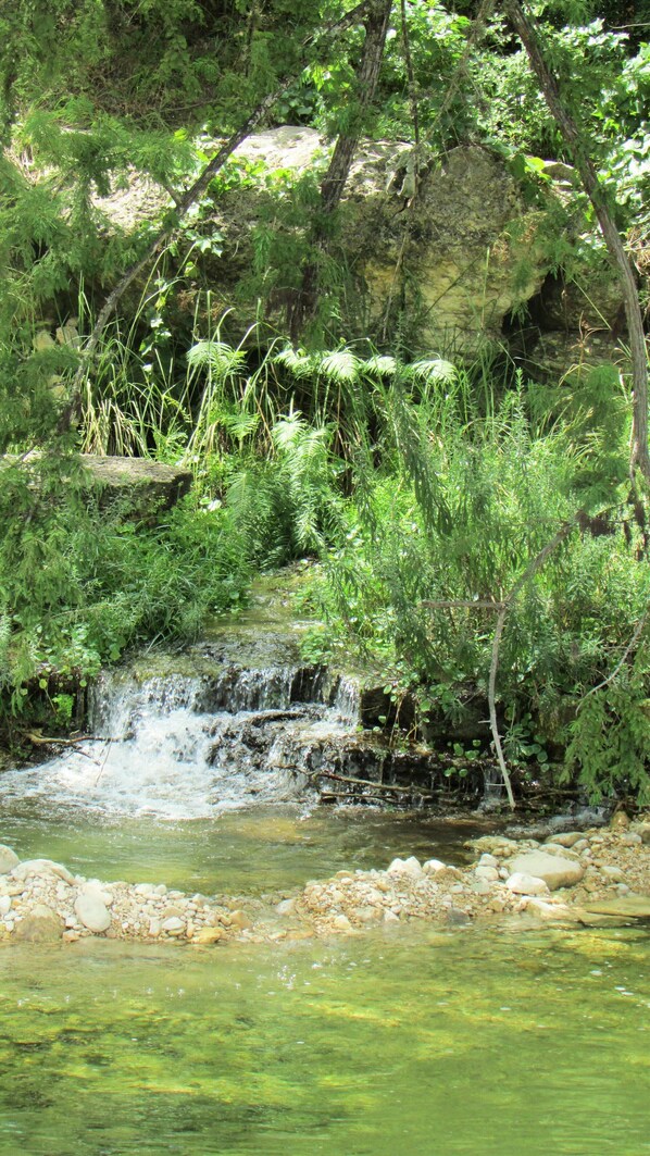 Flowing spring from hillside into our "Spring Pool" sitting area 