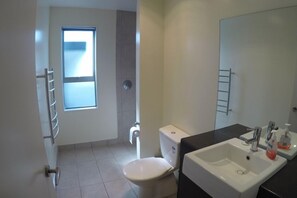 Master bedroom En Suite with Shower, vanity and toilet