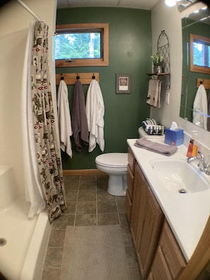 Large bath with walk-in shower