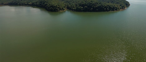 Our forested property is surrounded by 184 miles of Kentucky Lake.