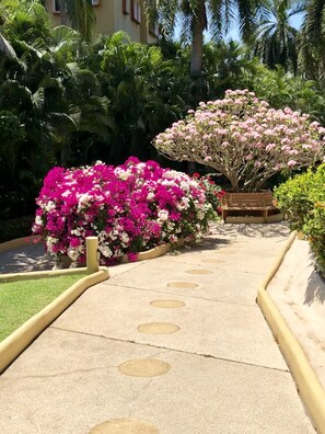 Entrance to Condo and path to the beach