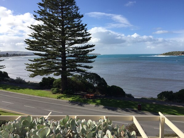 view from the deck towards Victor Harbor