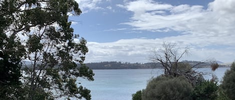 View from House