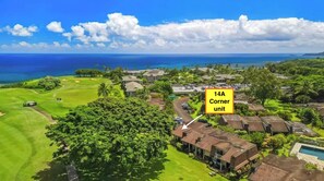 14A arial location view on Makai Golfcourse with Ocean view - 14A arial location view on Makai Golfcourse with Ocean view