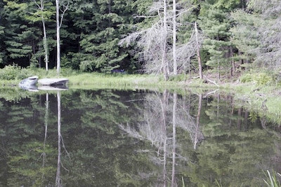 'A Place in the Woods' - Cabin on Chloe's Lake on 20 acres near Woodstock, NY