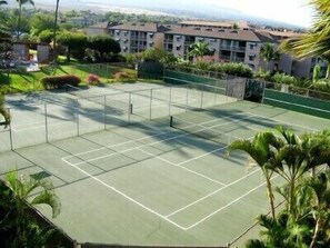 Championship tennis courts & NEW added Pickle Ball. Tennis lessons available.