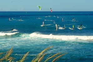 Wind Surfers at Ho'okipa Beach, about a 30 minute ride from the condo.