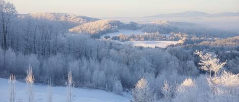  Winter View from the House