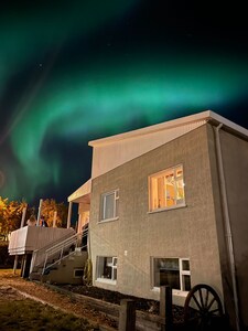 Northern lights above our house, photo from iPhone.