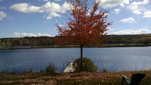 Foliage at peak