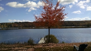 Foliage at peak