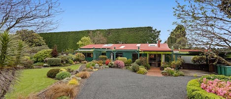 Home is surrounded by orchard