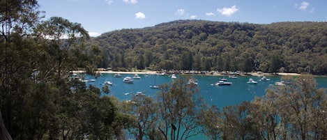 Actual view (part thereof) from the house/deck.