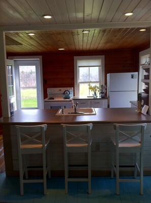 Newly renovated kitchen, with door going to back lawn and mountain view.