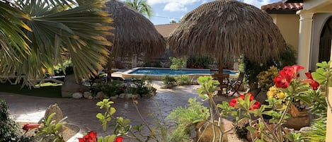 View of Pool & Palapa area from front side - Pic Date: Nov 2021