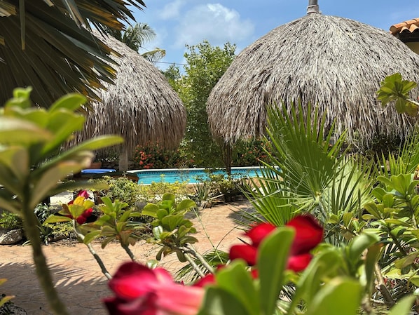 View outside bedroom 2 of walkway, pool & palapas - Pic Date: March 2025