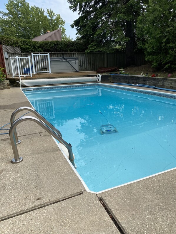 Pool with Dolphin robot!!
