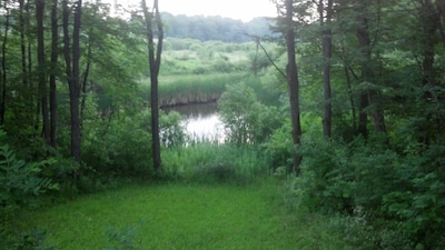 Finger Lakes Cottage