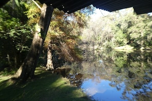 Billabong from verandah