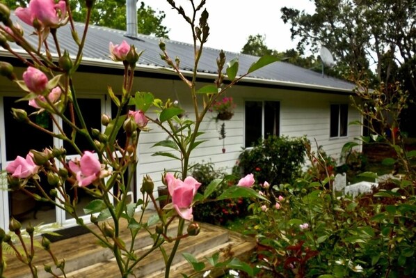  Tuis nest at  68 Kemp  road   (Back of house)