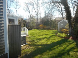 The back  yard