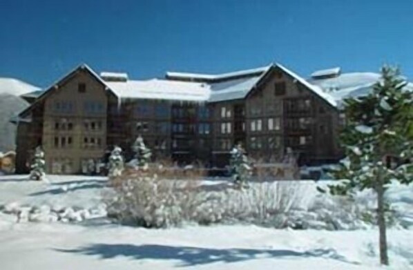 Winter Wonderland