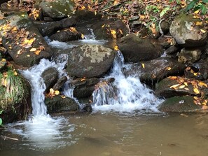 Stream on property next to hammock