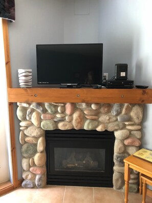 Fireplace and Tv