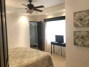 Master bedroom with ensuite, large closet and TV.