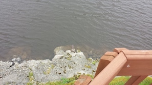 The home is right on the River, you can often see turtles sunning on the rocks!