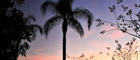 Sunset from our screened lanai/balcony