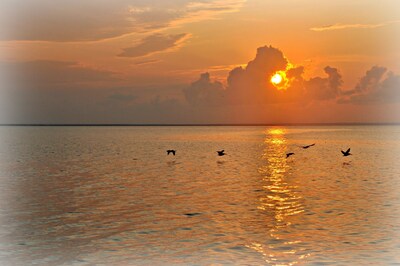 Spend The Night On Historic And Beautiful Mobile Bay