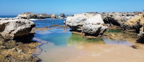 The rock pools. A 5 min walk from the shack. 