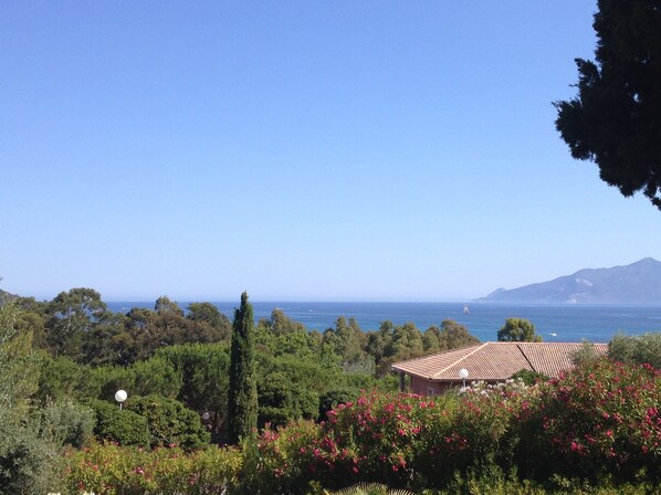 vue de la terrasse