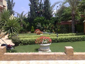 Front garden