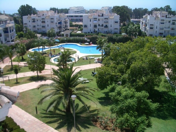 POOL & GARDEN AREA