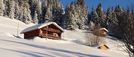 le chalet  de face sud 