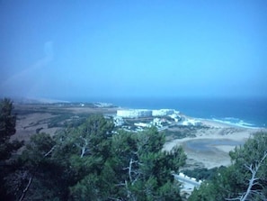 Overview