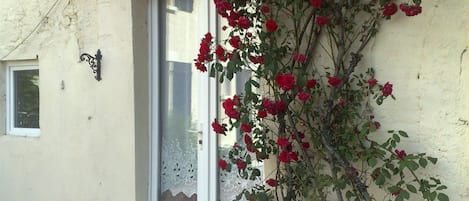 Entrance into kitchen