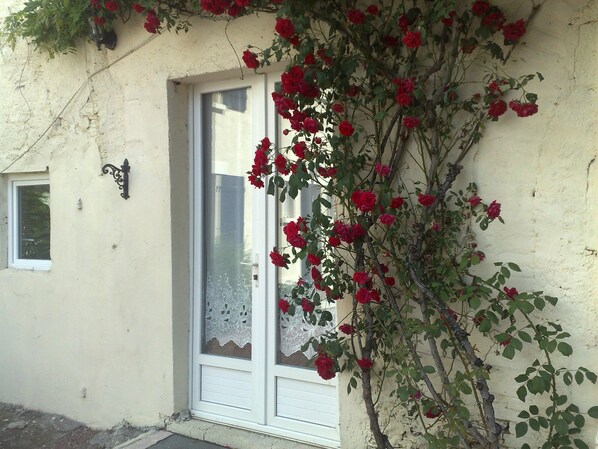 Entrance into kitchen