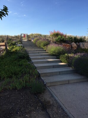Boendeområde