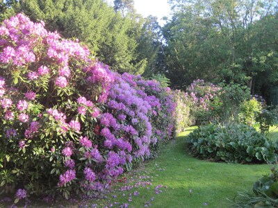 Rosemary Cottage 5* family & wheelchair friendly,tennis court  beautiful grounds