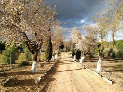 La Rinconada de las Tablas de Daimiel, ideal für Familien und Freunde 